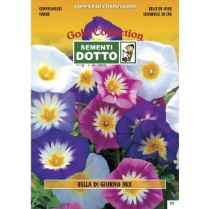 Convolvulus (Convolvulus tricolor) mix - Gold Seeds by Sementi Dotto 3.4gr