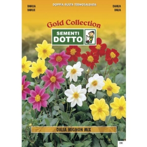 Dahlia Mignon Mix (Dahlia variabilis) - Gold Seeds by Sementi Dotto - 0.9gr