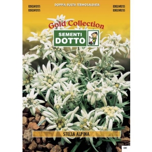 Edelweisse - Gold Seeds by Sementi Dotto