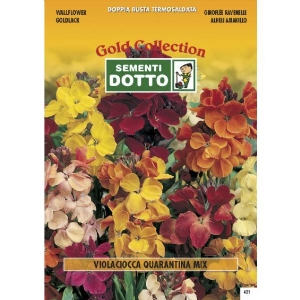 Matthiola Quarantine Stock Mix - Gold Seeds by Sementi Dotto
