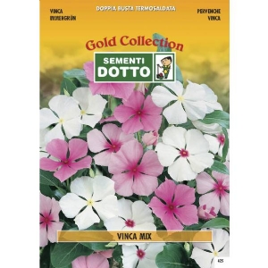 Vinca (Vinca Rosea) - Gold Seeds by Sementi Dotto 0.8gr