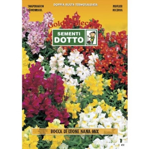 Snapdragon Dwarf (Antirrhinum majus) Mix - Gold Seeds by Sementi Dotto 0.7gr