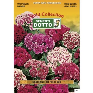 Sweet William (Dianthus barbatus) Mix - Gold Seeds by Sementi Dotto  2.5gr