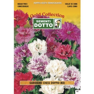 Chinese Carnation Double Flower Mix - Gold Seeds by Sementi Dotto