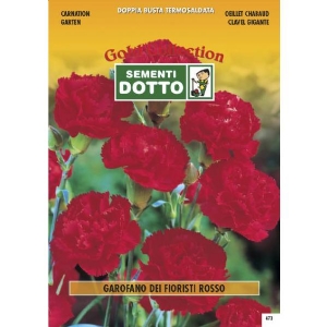 Florist Carnation Red - Gold Seeds by Sementi Dotto