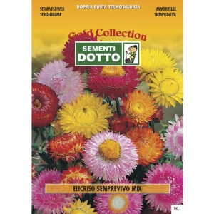 Strawflower (Helichrysum bracteatum) - Gold Seeds by Sementi Dotto 1.3gr
