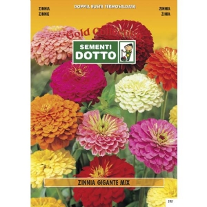 Giant Zinnia (Zinnia elegans) - Gold Seeds by Sementi Dotto
