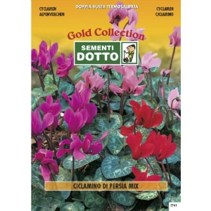 Persia Cyclamen  - Gold Seeds by Sementi Dotto