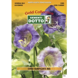 Cathedral Bells (Cobaea scandens) - Gold Seeds by Sementi Dotto 0.3gr