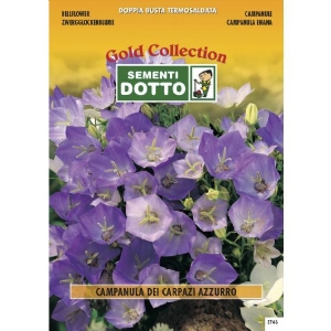 Bellflower Blue (Campanula carpatica)  - Gold Seeds by Sementi Dotto 0.45gr