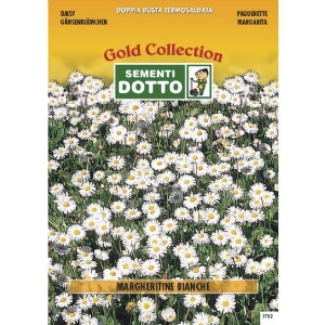 White Daisy (Bellis perennis) - Gold Seeds by Sementi Dotto