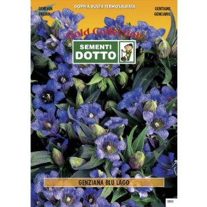 Gentian Blue Lake (Gentiana acaulis) - Gold Seeds by Sementi Dotto - 0.008gr