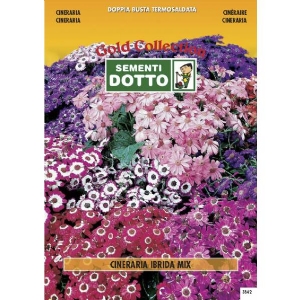 Cineraria (Senecio cruentus) mix - Gold Seeds by Sementi Dotto 0.01gr