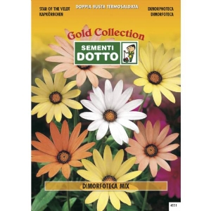 Dimorfoteca - Gold Seeds by Sementi Dotto