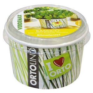Cultivation Kit ORTOLINO Basil by Verdemax