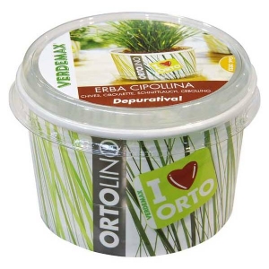 Cultivation Kit ORTOLINO Chives  by Verdemax