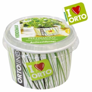 Cultivation Kit ORTOLINO Parsley by Verdemax