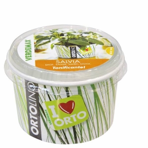 Cultivation Kit ORTOLINO Sage by Verdemax