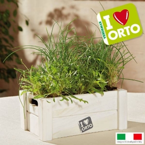 Cultivation Kit Verdemax Easyorto  - Rocket and Chive
