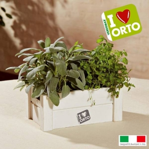 Cultivation Kit Easyorto by Verdemax - Mint and Sage