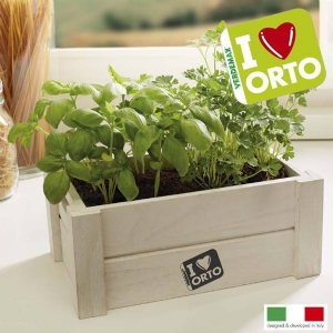 Cultivation Kit Easyorto by Verdemax - Basil and Parsley