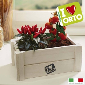 Cultivation Kit Easyorto by Verdemax - Chillies and Cherry Tomatoes