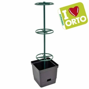 Vine planter by Verdemax - I LOVE ORTO.