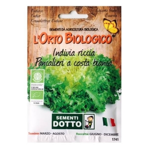 Orto Biologico - Seeds of  Indivia Riccia Pancalieri 