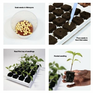 Growth Technology - White Tray Pvc