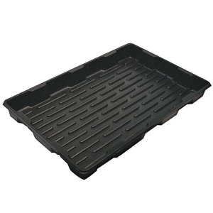 Root!T Large Propagator Tray
