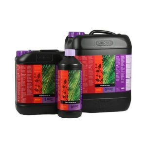 Atami - B Cuzz COCCO A+B 2x10L