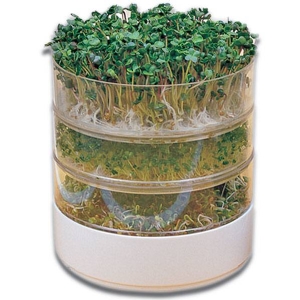 Bioset Basket Sprouter