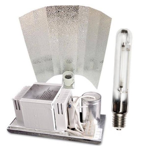 Economic ECO Indoor Light Kit 600W Agro