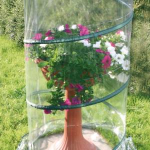 Verdemax - Pop-Up Anthurium Greenhouse - 70x110CM