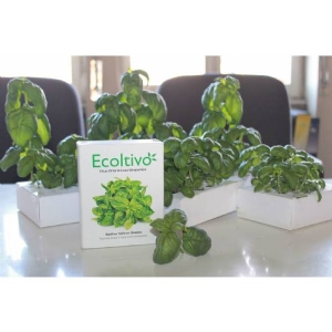 Ecoltivo - Mini hydroponic system