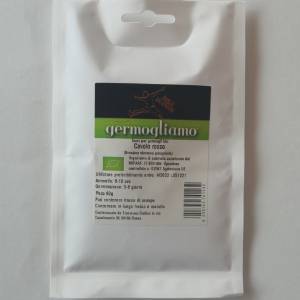 Germogliamo - Red Cabbage