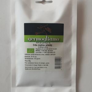 Germogliamo - Alfalfa