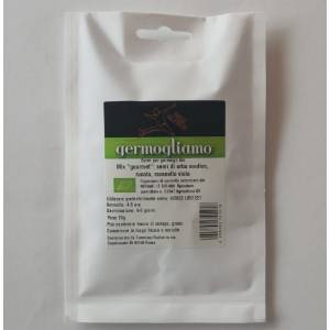 Germogliamo - Purple Radish