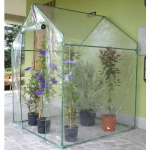 Verdemax - Clematis Greenhouse 155x155x205 cm