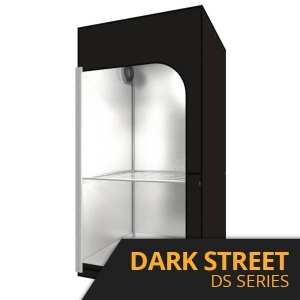 Dark Street DS - Secret Jardin