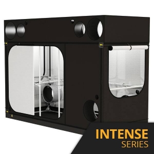 Dark Room Intense - Secret Jardin