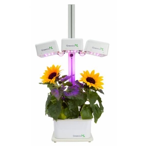 Hydroponic Smart Garden - 3 Lamps - 4 Plants - GreenDea