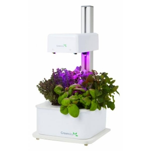 Hydroponic Smart Garden -1 Lamp - 3 Plants - GreenDea