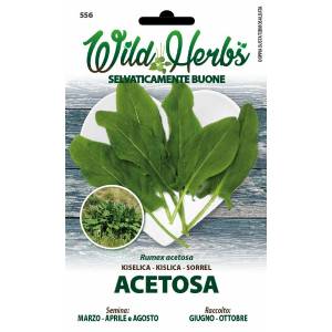 Wild Herbs - Sorrel Seeds - Sem. Dotto