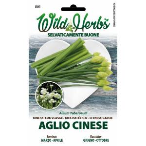 Wild Herbs - Chinese Garlic Seeds - Sem. Dotto