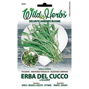 Wild Herbs - Cucco Grass Seeds - Sem. Dotto