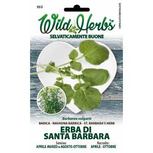 Wild Herbs - St. Barbara s Grass Seeds - Sem. Dotto