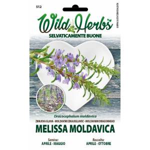 Wild Herbs - Melissa Moldavica Seeds - Sem. Dotto