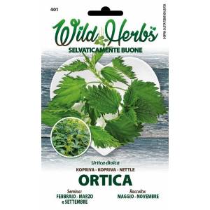 Wild Herbs - Nettle Seeds - Sem. Dotto