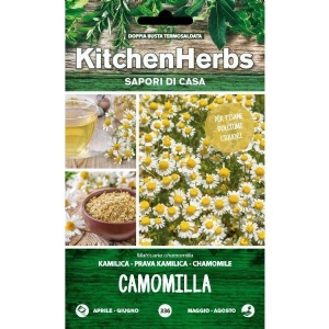 Kitchen Herbs - Chamomile - Sem. Dotto